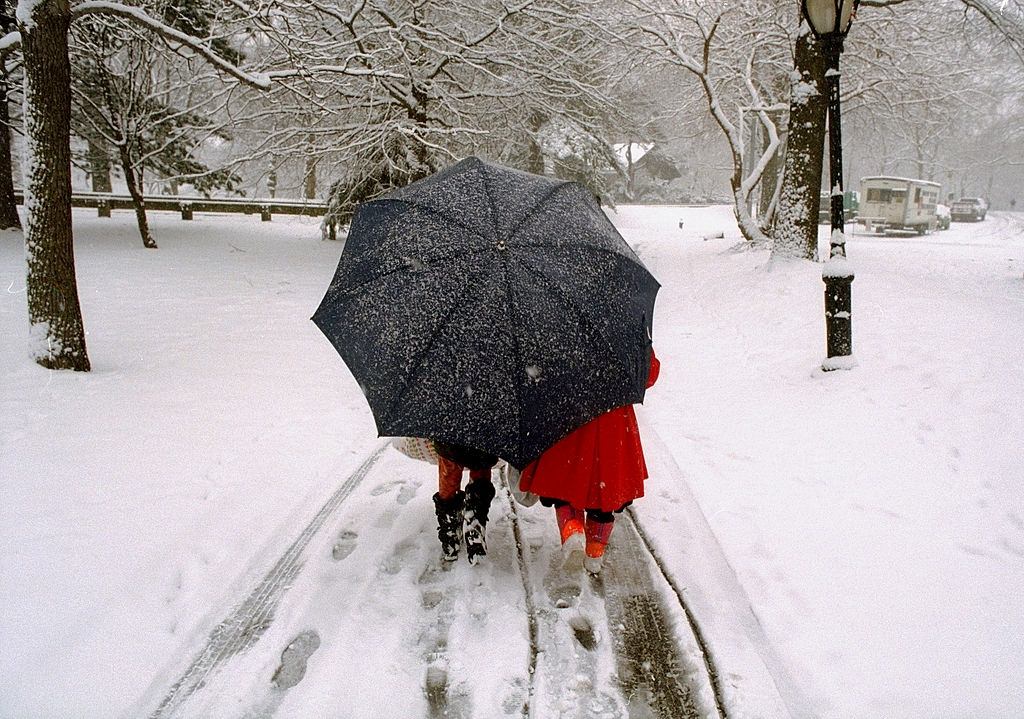 #102 Two little girls with one big umbrella take a walk in Central Park during a snow storm.