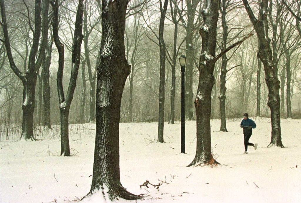 #103 A jogger makes his through Pelham Bay Park in the Bronx March as another snowstorm hits the New York City area.