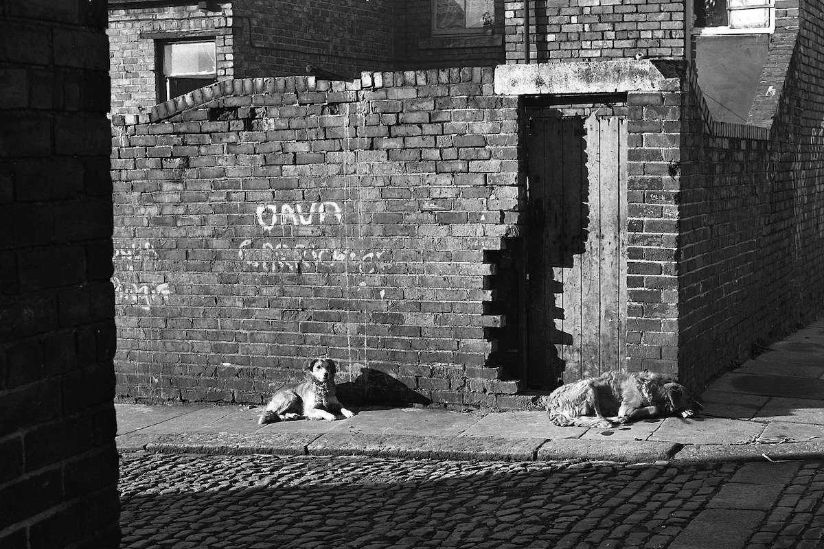 #30 Byker back lane 1974