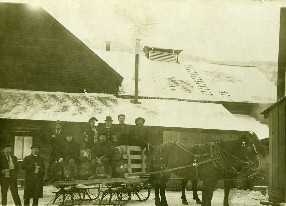 #16 Territorial sleigh in Olympia, 1885