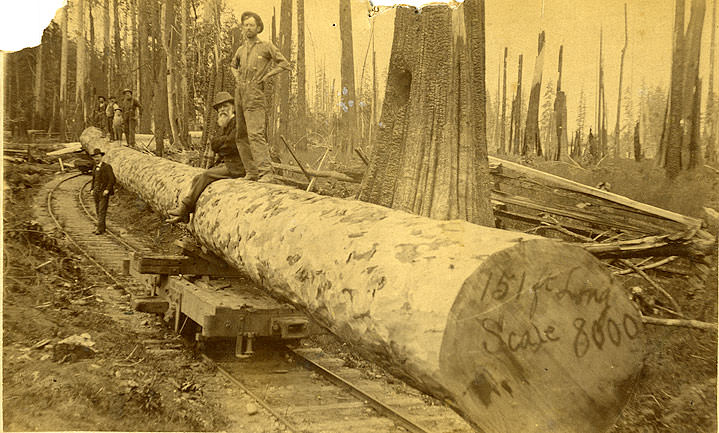 #42 Logging railroad, near Shelton, 1886
