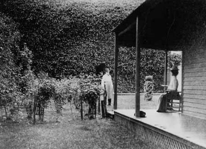 #48 Doane’s Oyster House Garden, Olympia, 1880s