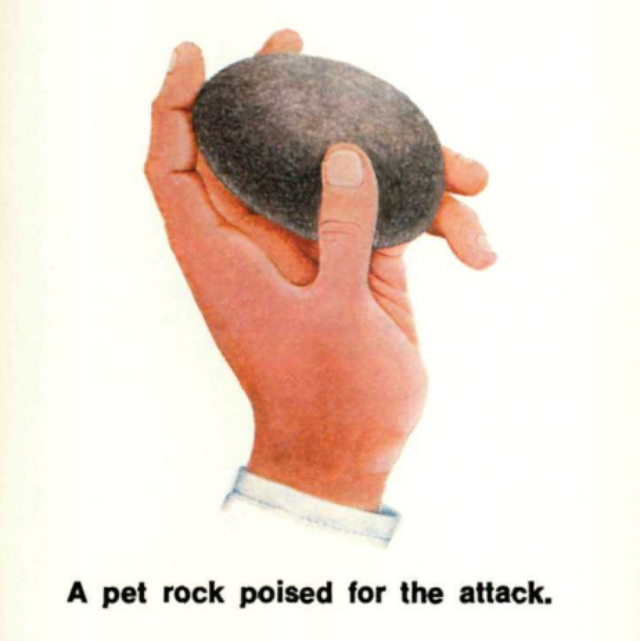 Pet Rock: A Short-Lived Ridiculous Trend that Peaked during the 1975 Holiday Season Weird
