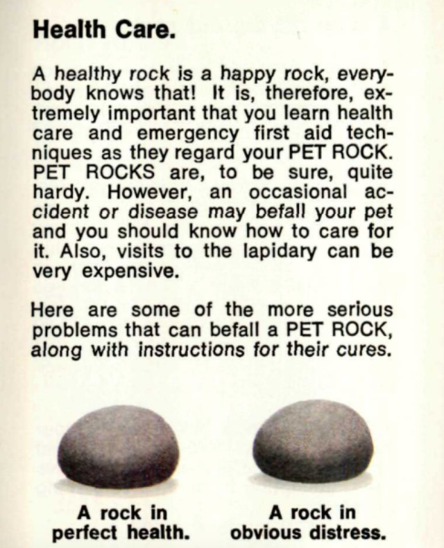 #9  Pet Rock: A Short-Lived Ridiculous Trend that Peaked during the 1975 Holiday Season #9 Weird