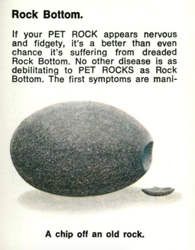 Pet Rock: A Short-Lived Ridiculous Trend that Peaked during the 1975 Holiday Season Weird