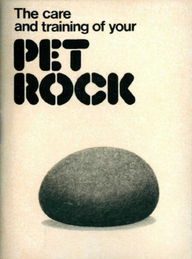 Pet Rock: A Short-Lived Ridiculous Trend that Peaked during the 1975 Holiday Season Weird
