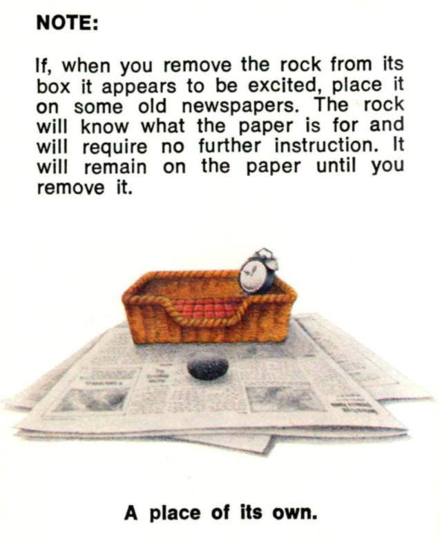 Pet Rock: A Short-Lived Ridiculous Trend that Peaked during the 1975 Holiday Season Weird