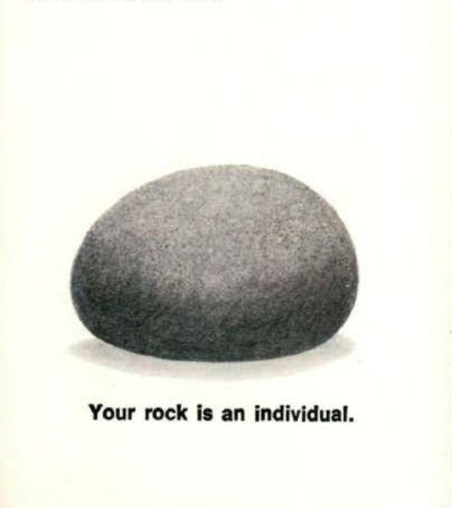 Pet Rock: A Short-Lived Ridiculous Trend that Peaked during the 1975 Holiday Season Weird