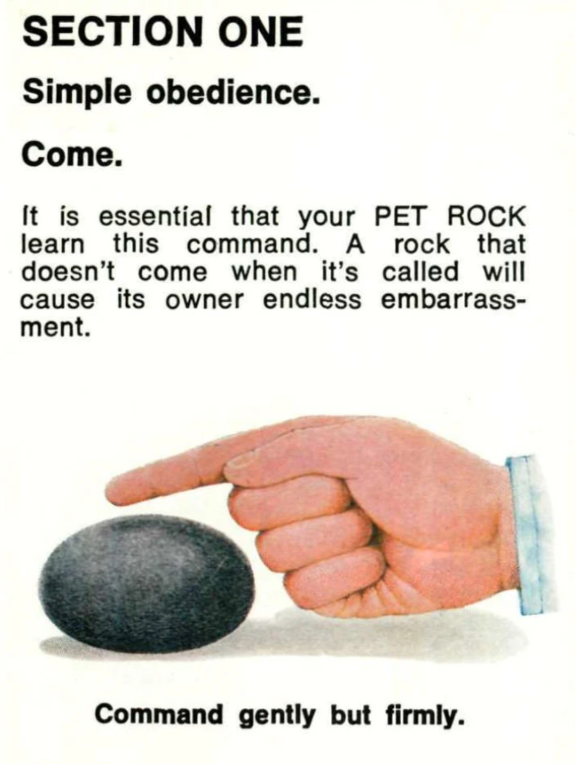 Pet Rock: A Short-Lived Ridiculous Trend that Peaked during the 1975 Holiday Season Weird