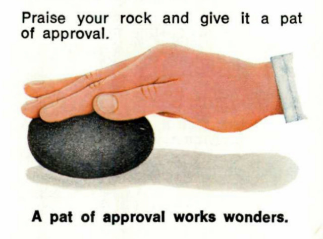 Pet Rock: A Short-Lived Ridiculous Trend that Peaked during the 1975 Holiday Season Weird