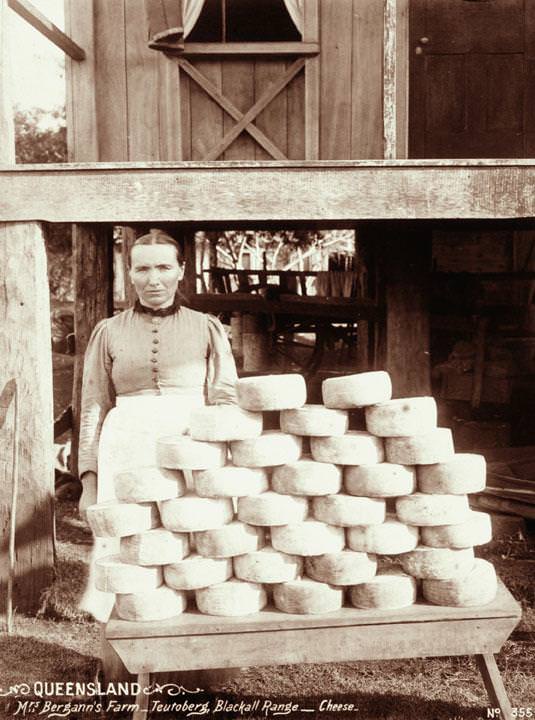 #100 A woman with a stack of cheeses at Mrs Bergann’s Farm, Teutoberg, Blackall Range, 1899