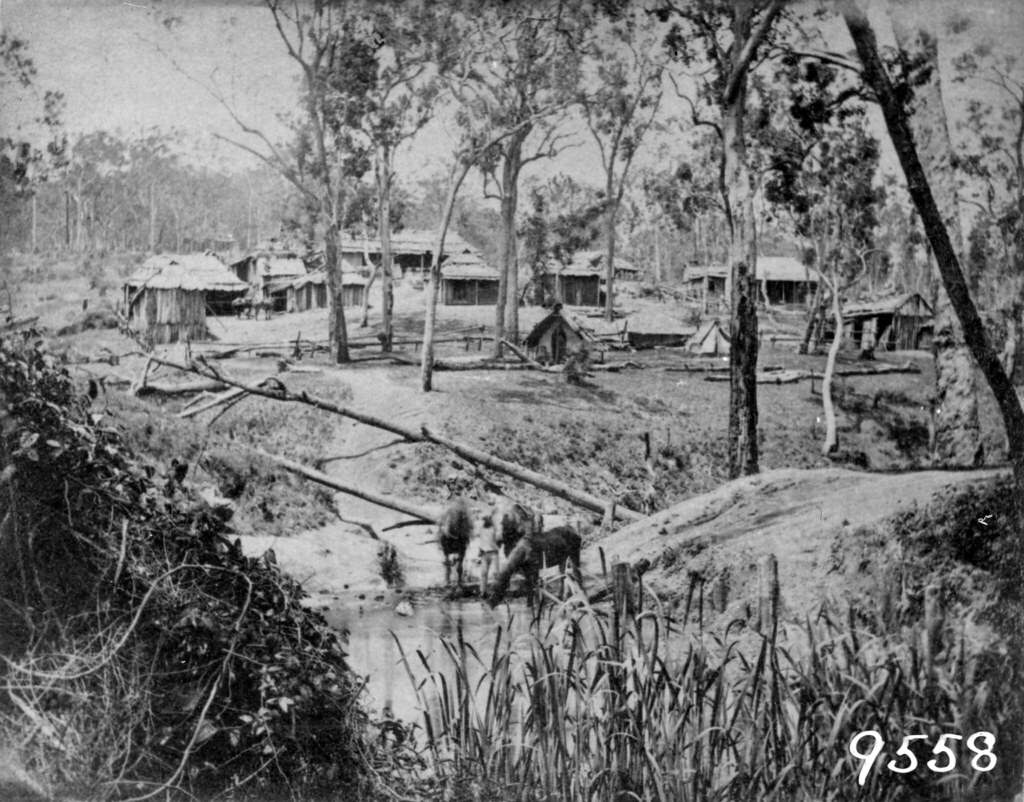#155 Holmes’ Camp during the construction of the Ipswich to Toowoomba Railway, 1865