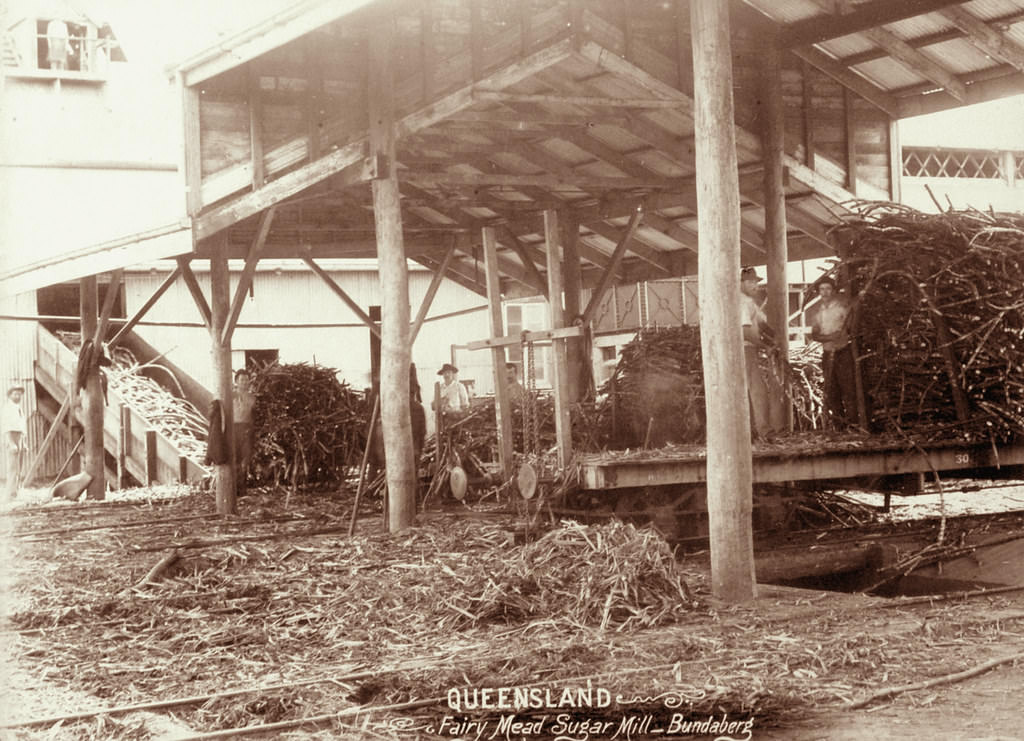 #167 Fairy Mead Sugar Mill, Bundaberg, 1896