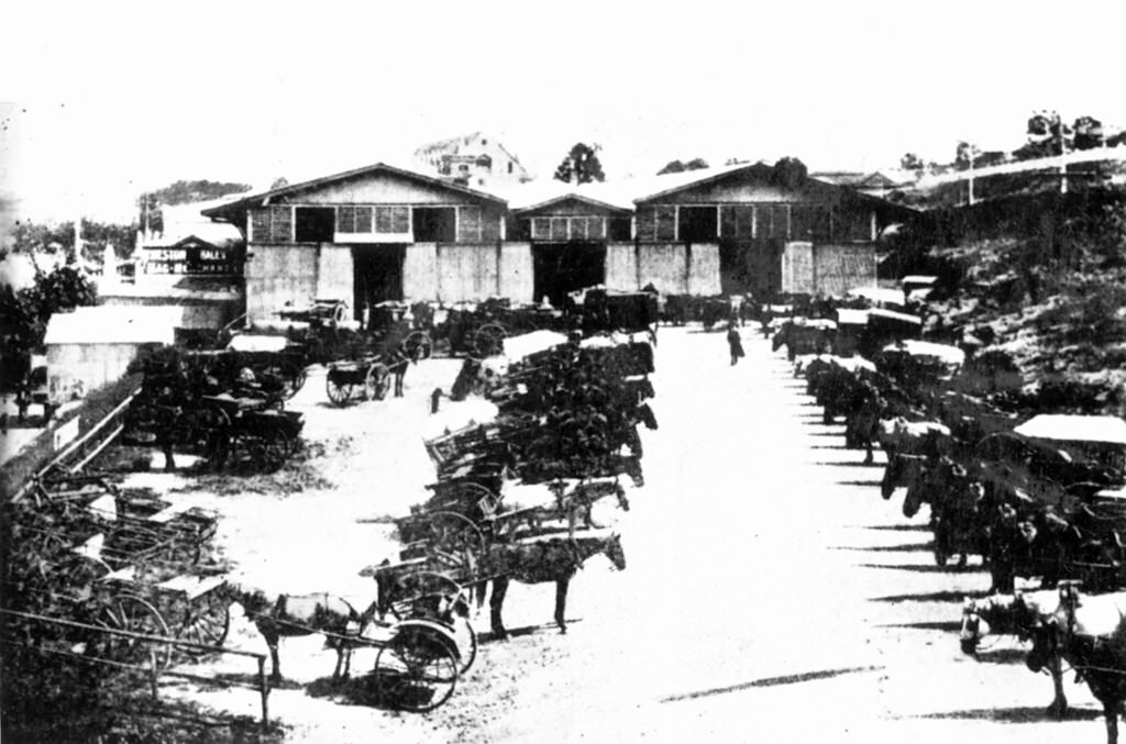 #47 Old Roma street markets, Brisbane 1886