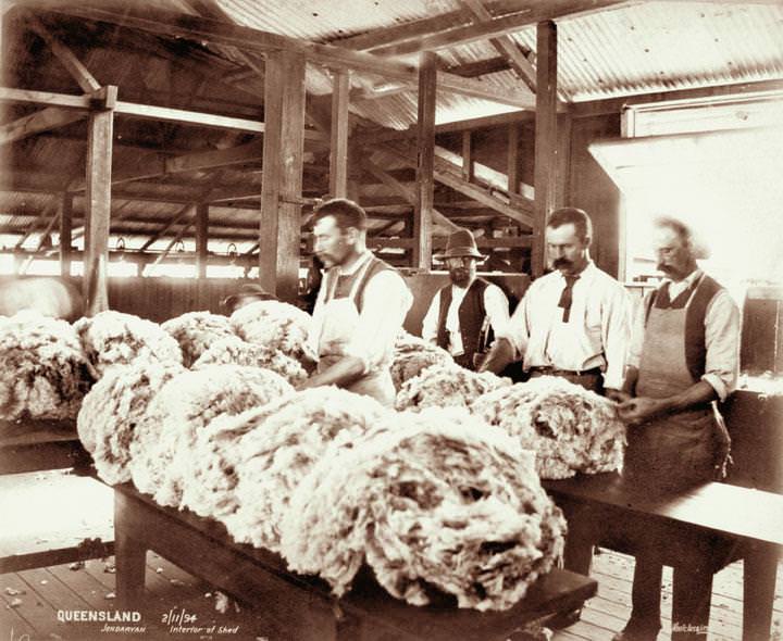 #76 Interior of wool shed, Jondaryan, 2 November 1894