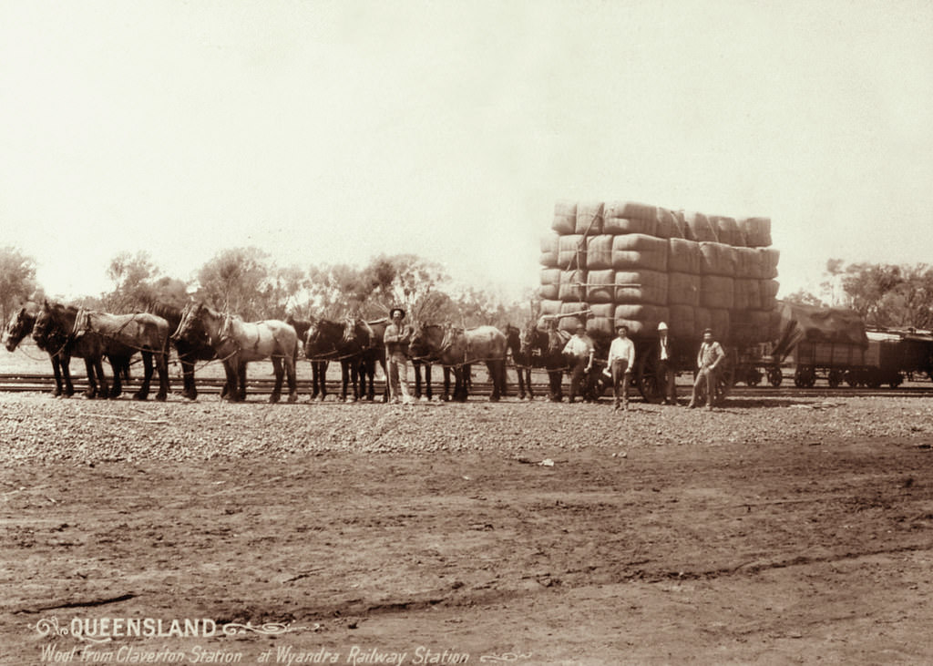 #82 Wool bales from Claverton Station at Wyandra Railway Station, 1897
