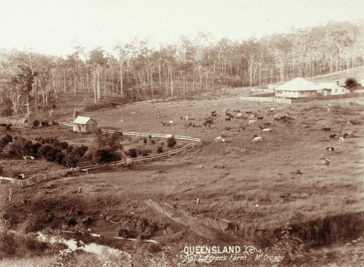 #85 Lofgren’s Farm at Mount Crosby, 1898