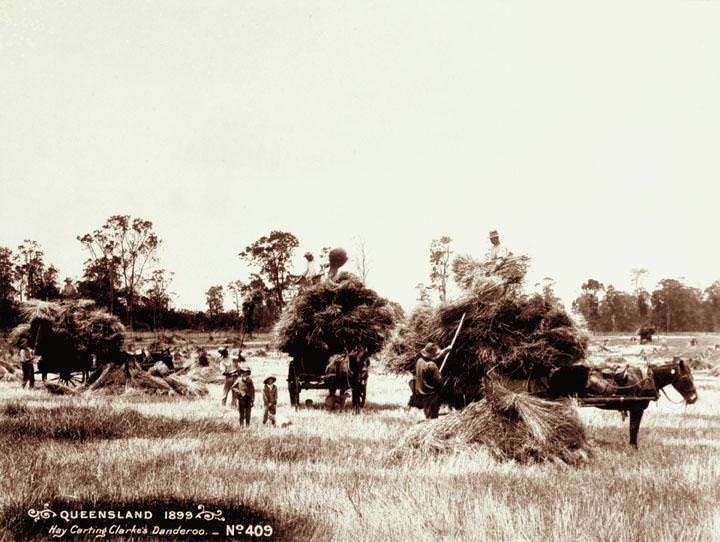 #94 Hay carting at Clarke’s farm, Danderoo, 1899