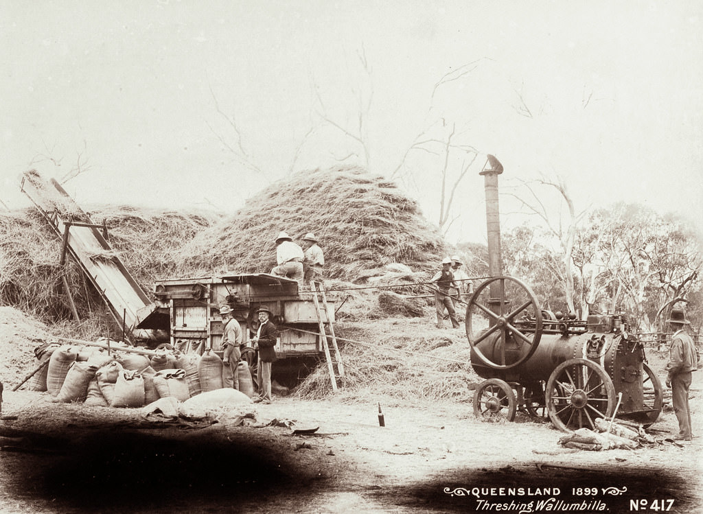 #10 Threshing at Wallumbilla, 1899