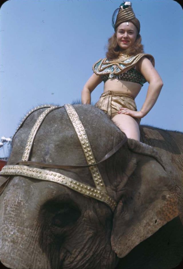 #22 Elephant and Mademoiselle Unus