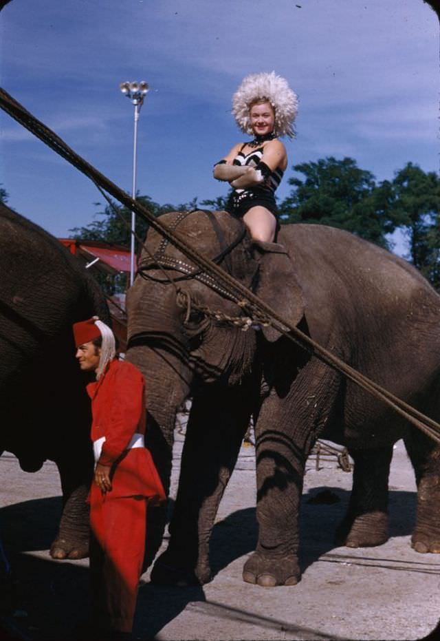 #23 Elephant and Miss Unus