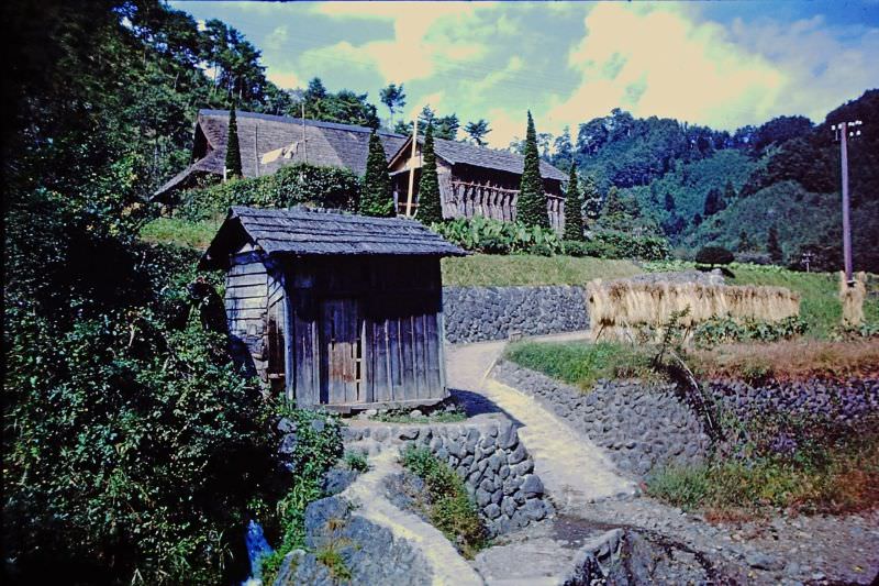 #100 Countryside, Japan, 1950