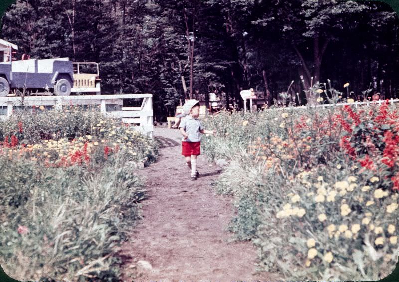 #126 A boy in shorts and a hat walking through a field of flowers