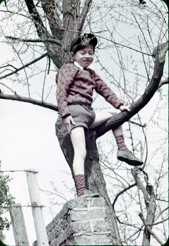 #127 A boy wearing a hat in a tree