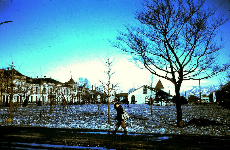 #39 Sapporo street scene