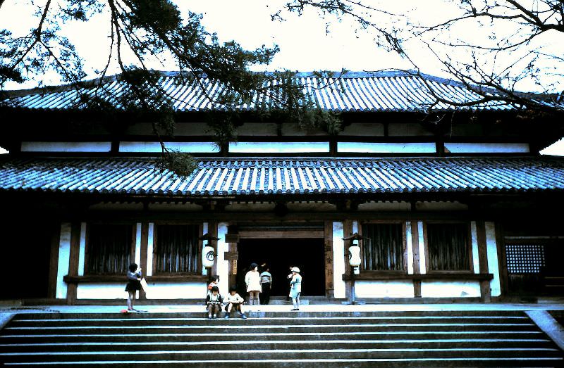 #43 Kofuku-ji Temple near Nara