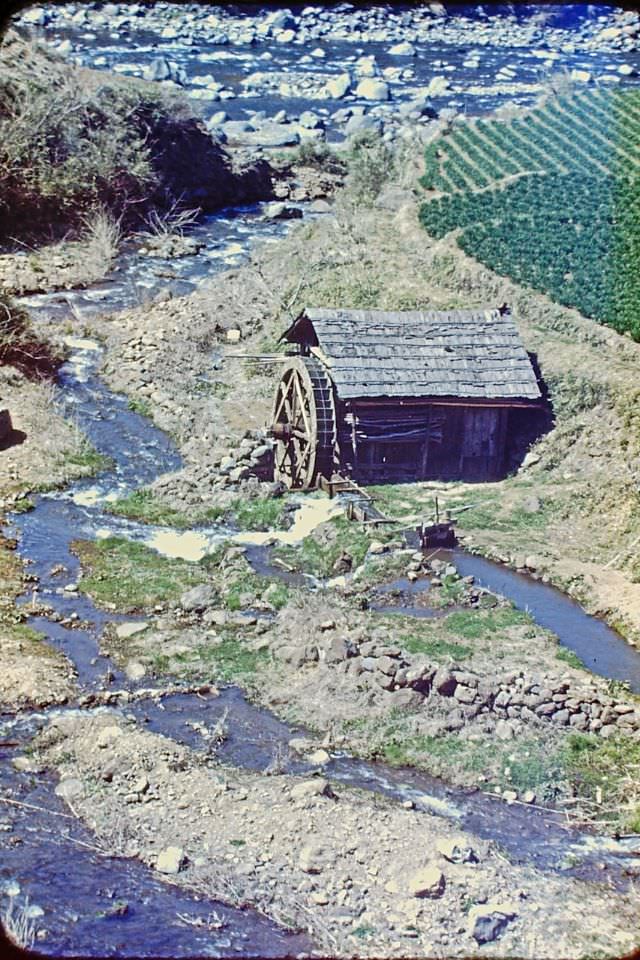 #71 Countryside waterwheel, Japan, 1950
