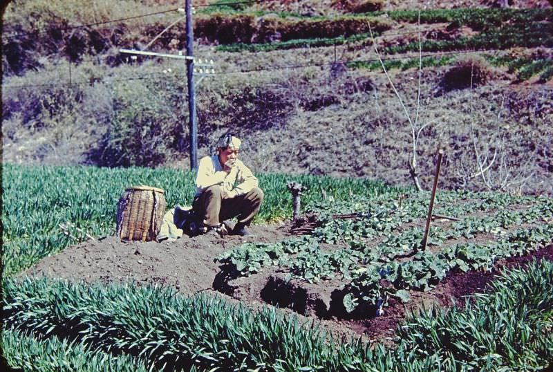 #72 Farm man resting, Japan, 1950
