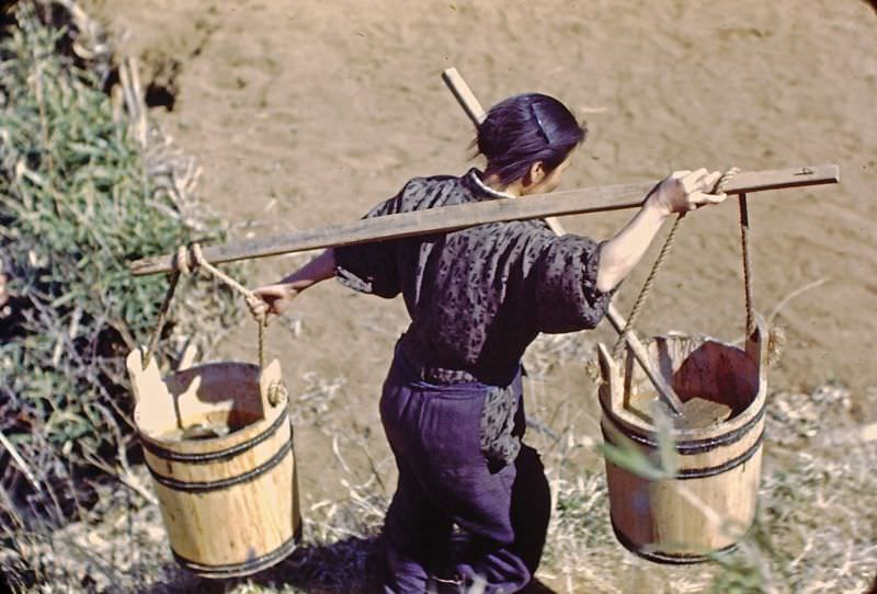 #73 Farm woman carrying fertilizer, Japan, 1950