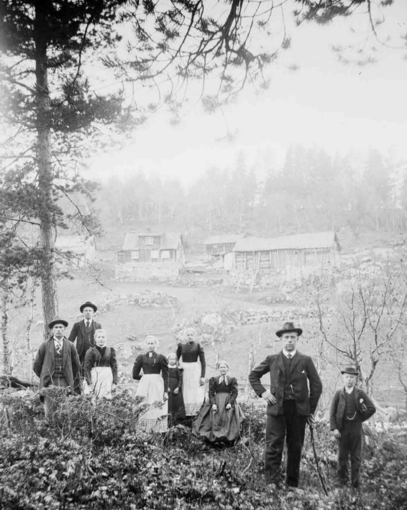 #7 Øvste Haukareid, Sogndalsdalen.