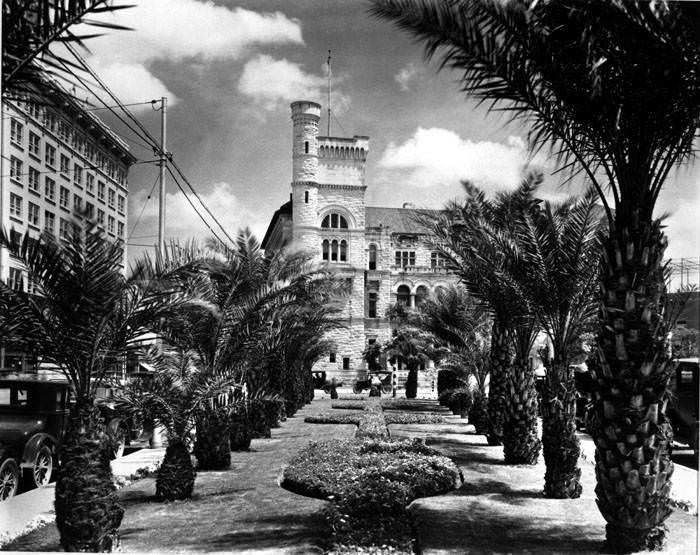 #136 Palm trees on Alamo Plaza in front of Federal Building and Post Office, San Antonio, 1935