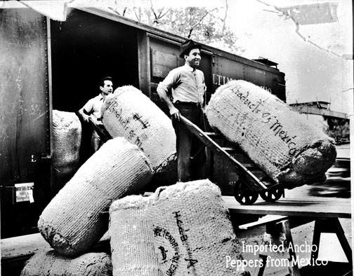 #172 Unloading ancho peppers, Gebhardt Chili Powder Company, 1810 S. Laredo Street, San Antonio, 1937