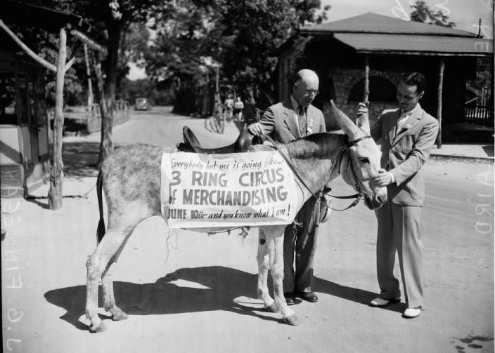 #55 Photograph shows J.G. Finnegan (left) and Kenneth Laird with Brack, an enridge Park donkey), 1939