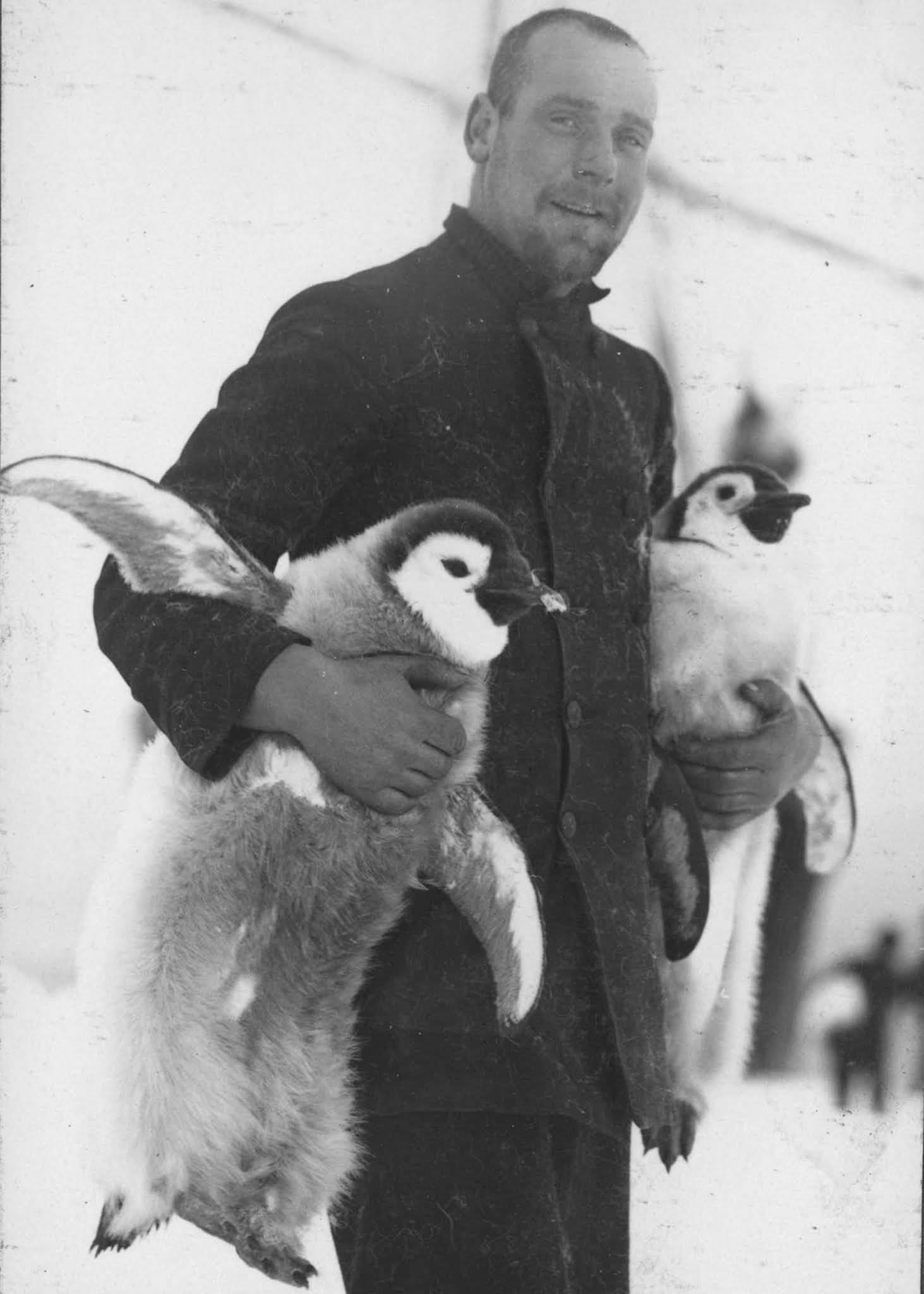 #16 Navigating Officer Hubert Hudson with Emperor penguin chicks.