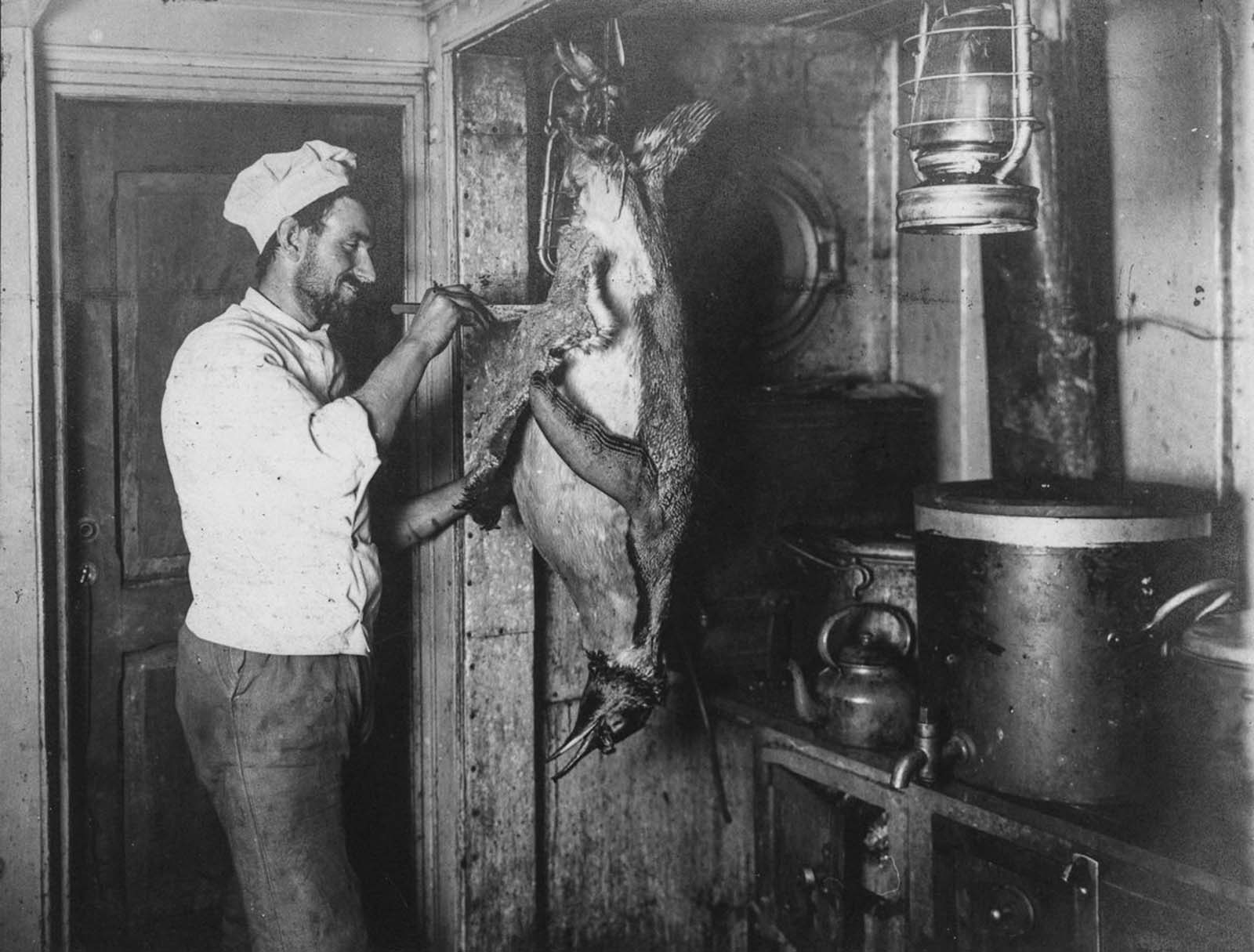 #18 Charles Green, the cook, skins a penguin for dinner.