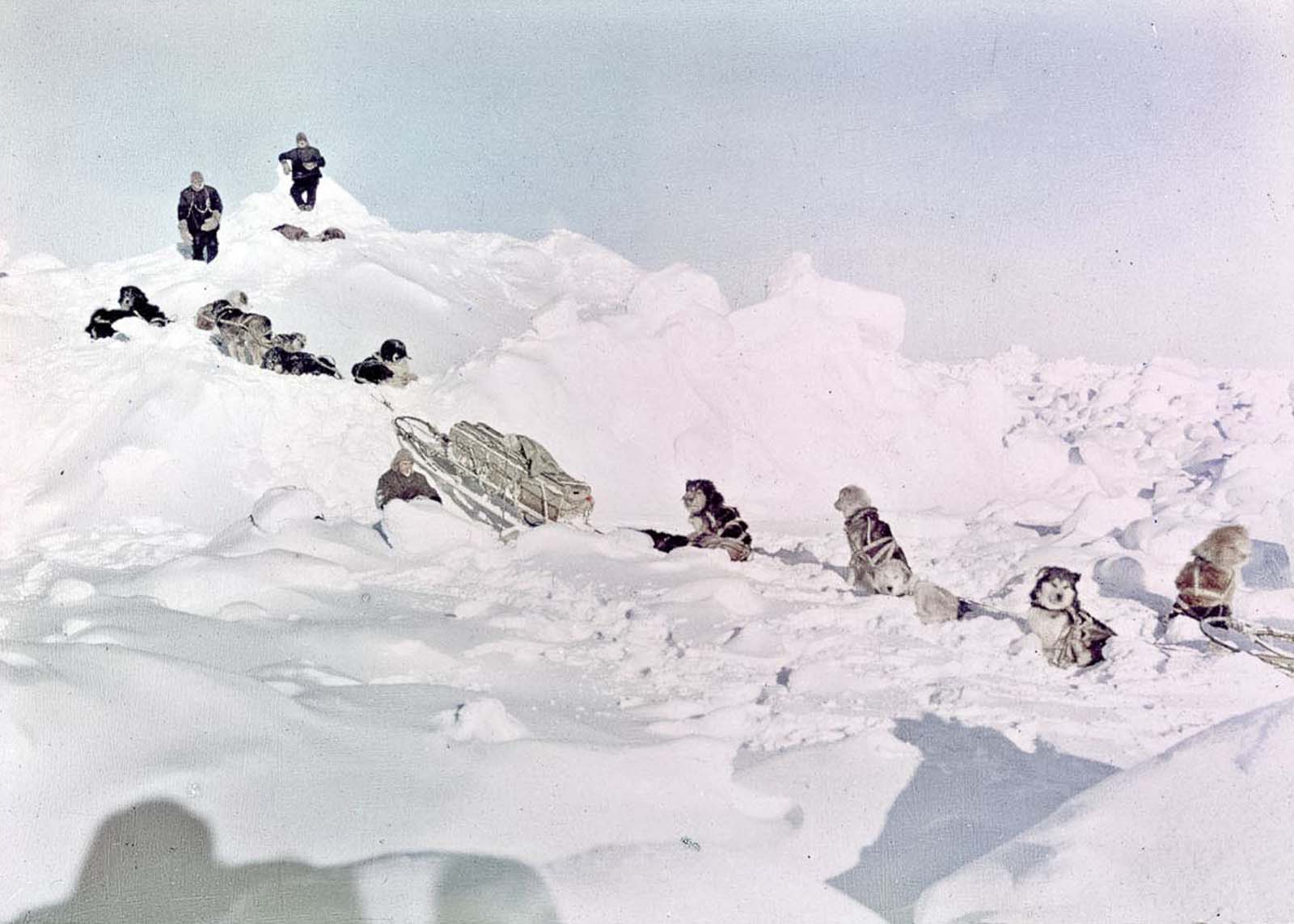 #46 Dog teams search for a way to land across the ice.