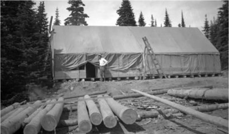 #43 Peeling the tamarack logs utilized in community cabin, 1930s