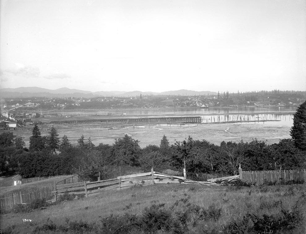 #29 Olympia Panorama, 1909