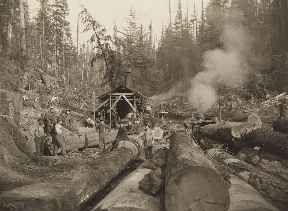 #58 Mason Co. Logging Co. Black Hills, 16 miles west of Olympia, 1903
