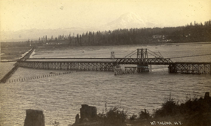 #29 Mt. Tacoma, 1888