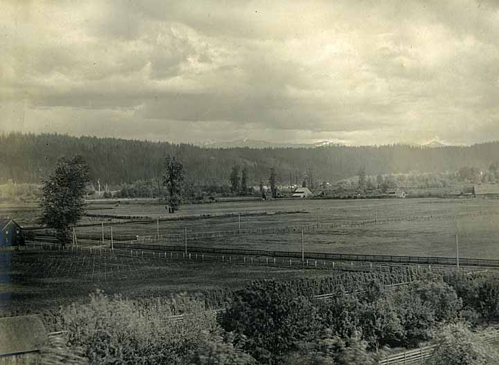 #11 Farm near Tacoma, 1901