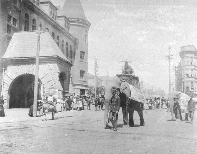 #27 Circus parade on C Street Tacoma, 1897