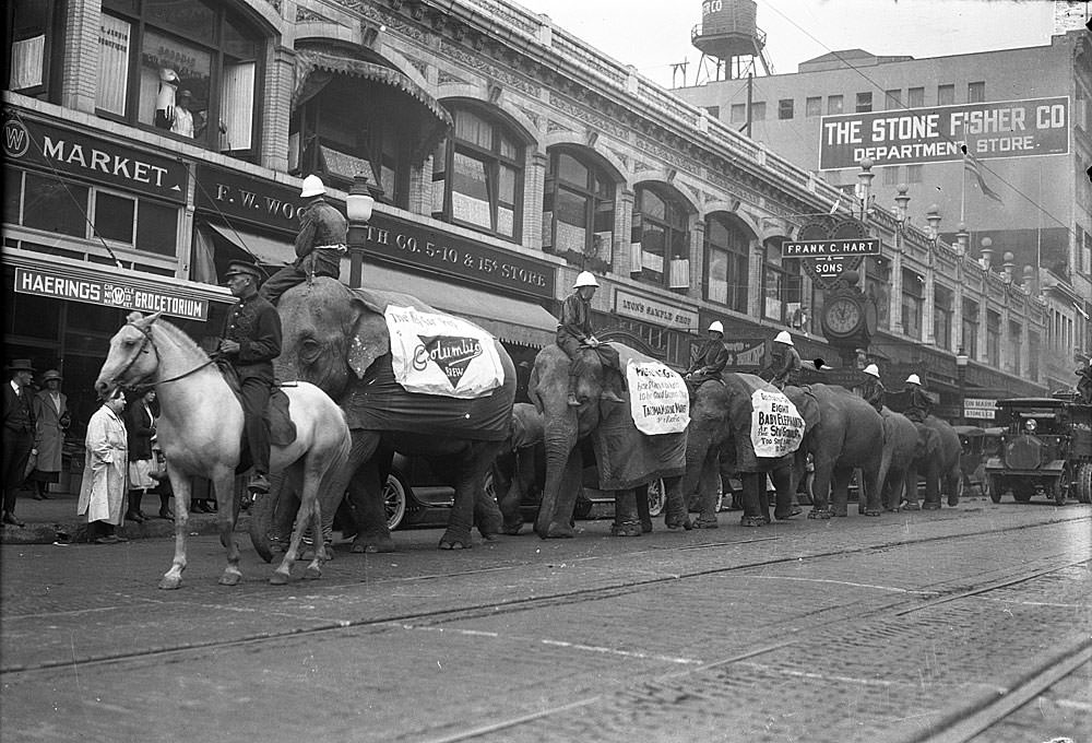 #90 Elephants on Broadway, Tacoma, 1934