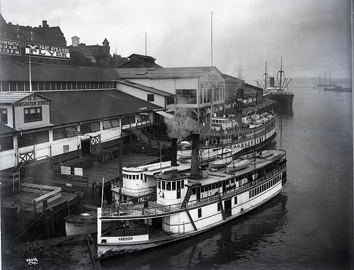 #19 Mosquito Fleet Vessels, Tacoma Municipal Dock, 1912