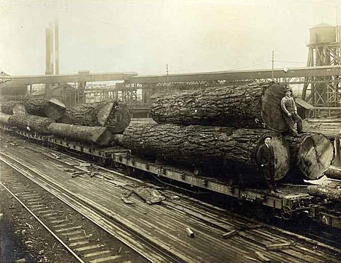 #21 Log Train, Tacoma, 1912