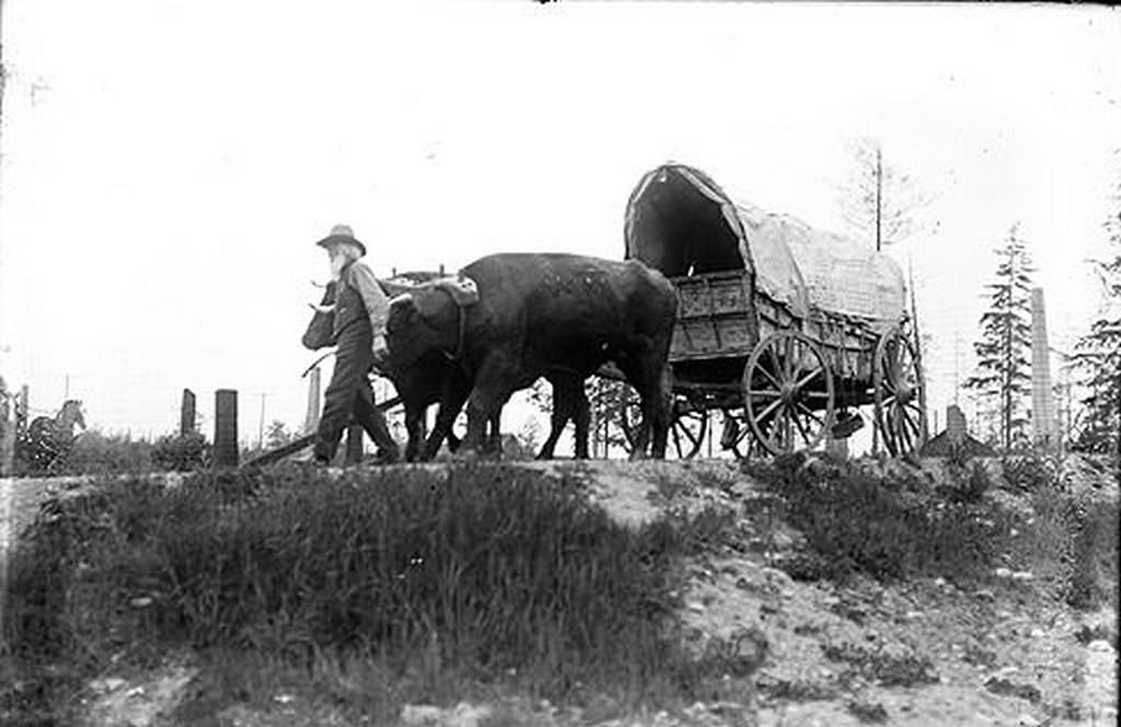 #34 Ezra Meeker and Wagon, Tacoma, 1910